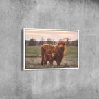 Highland Cow and Calf Canvas Wall Art | Rustic Farmhouse Animal Print | Large Framed Decor