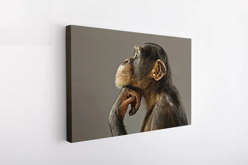 Thinking Chimpanzee Canvas Wall Art – Funny Animal Portrait Print for Modern Living Room Decor