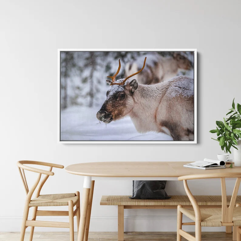 Winter Reindeer Canvas Wall Art – Nordic Wildlife Photography Print for Rustic Cabin and Christmas Home Deco