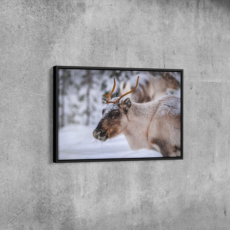 Winter Reindeer Canvas Wall Art – Nordic Wildlife Photography Print for Rustic Cabin and Christmas Home Deco