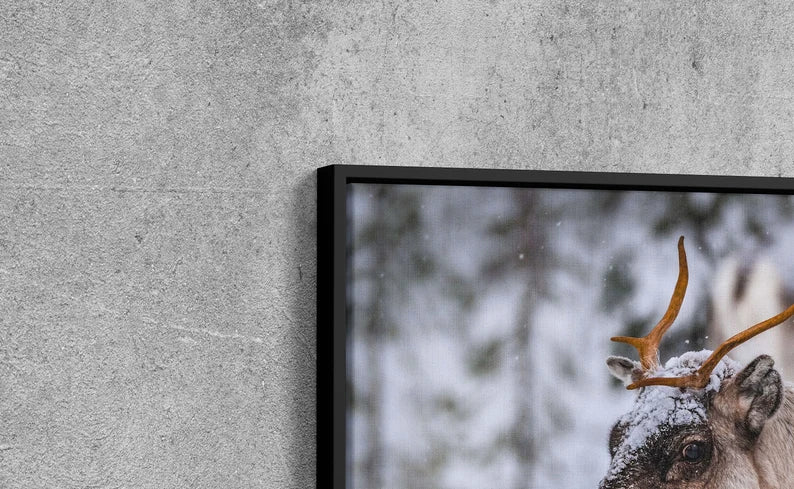 Winter Reindeer Canvas Wall Art – Nordic Wildlife Photography Print for Rustic Cabin and Christmas Home Deco