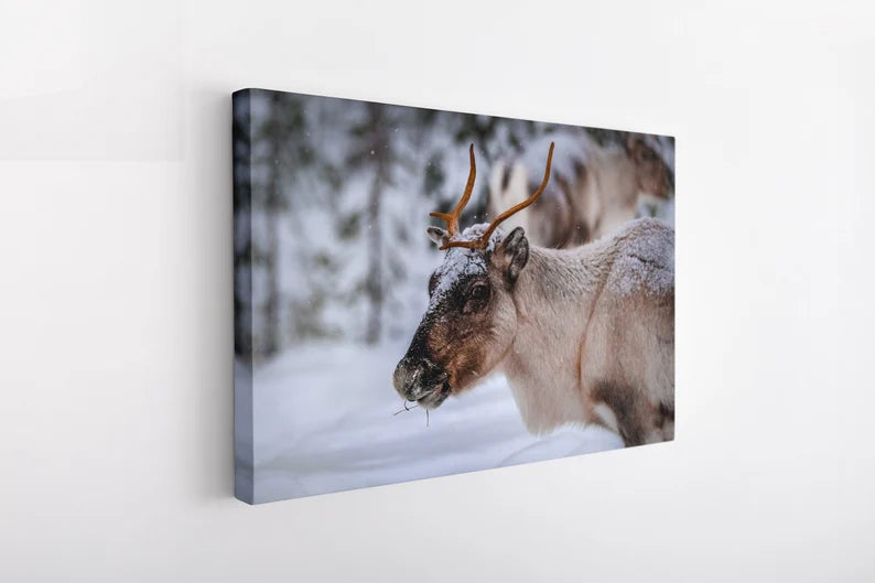 Winter Reindeer Canvas Wall Art – Nordic Wildlife Photography Print for Rustic Cabin and Christmas Home Deco
