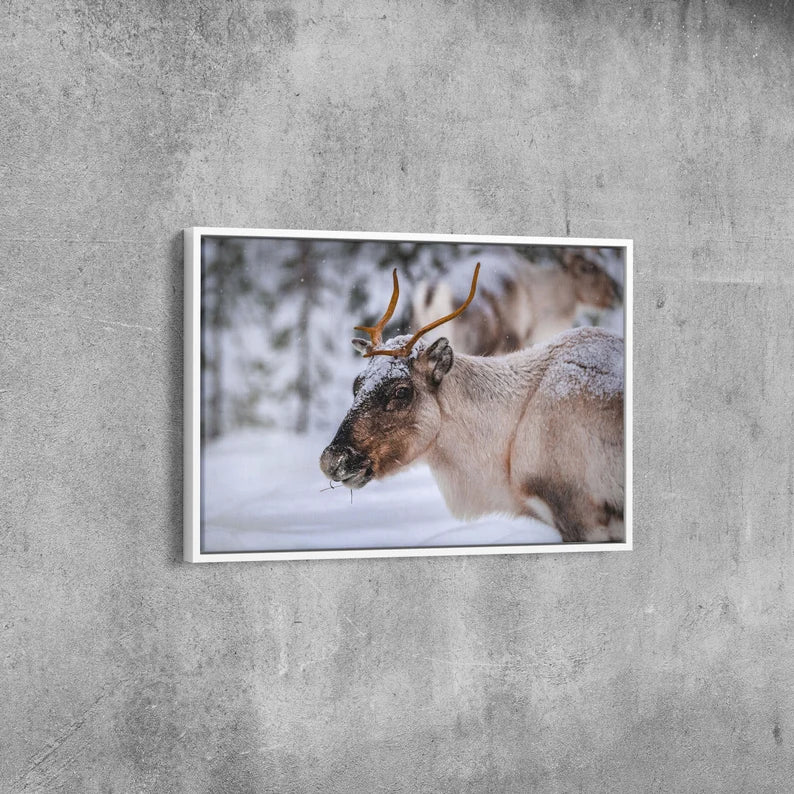 Winter Reindeer Canvas Wall Art – Nordic Wildlife Photography Print for Rustic Cabin and Christmas Home Deco