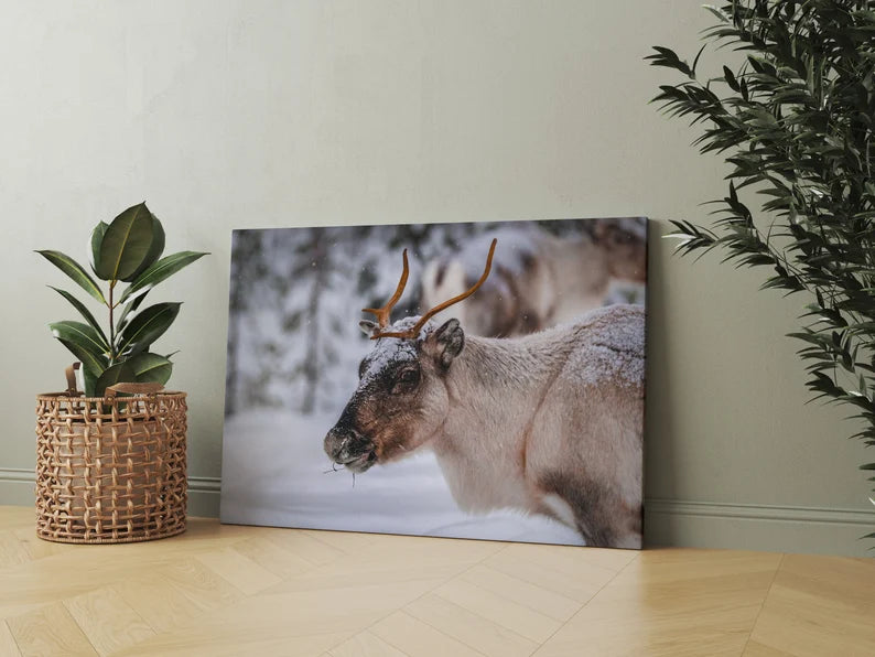 Winter Reindeer Canvas Wall Art – Nordic Wildlife Photography Print for Rustic Cabin and Christmas Home Deco