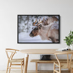 Winter Reindeer Canvas Wall Art – Nordic Wildlife Photography Print for Rustic Cabin and Christmas Home Deco